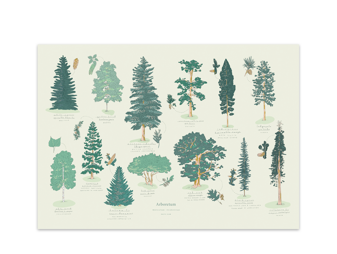 Baltic Club - Arboretum Art Print