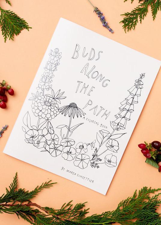 Buds Along The Path Coloring Book